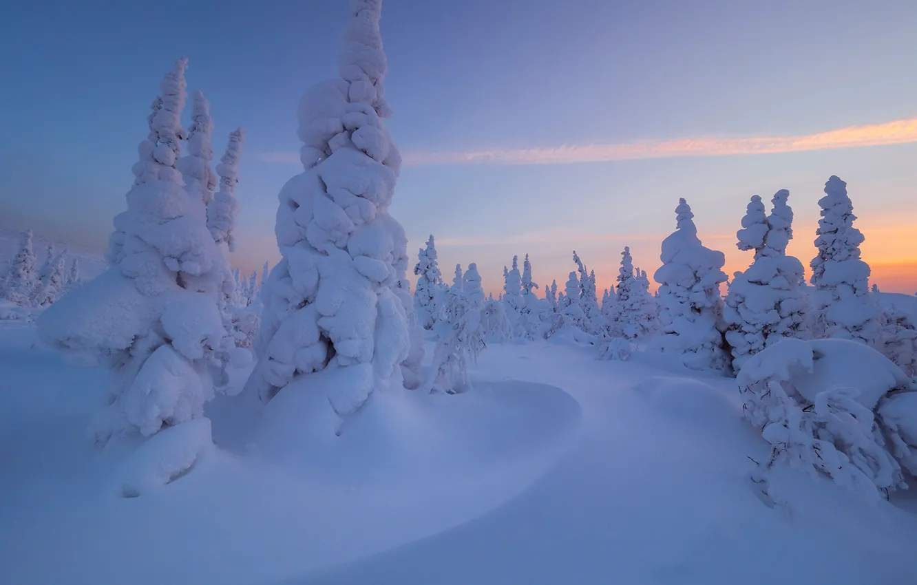 Фото обои зима, снег, деревья, ели, сугробы, Россия, Главный Уральский хребет
