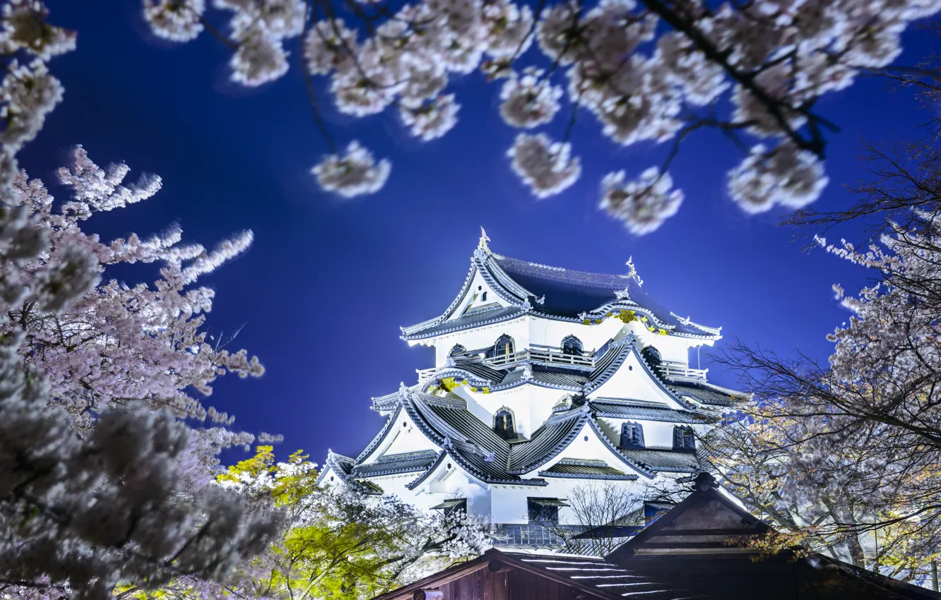 Фото обои весна, Япония, сакура, Japan, Hikone Castle, Hikone, Замок Хиконэ, Хиконэ