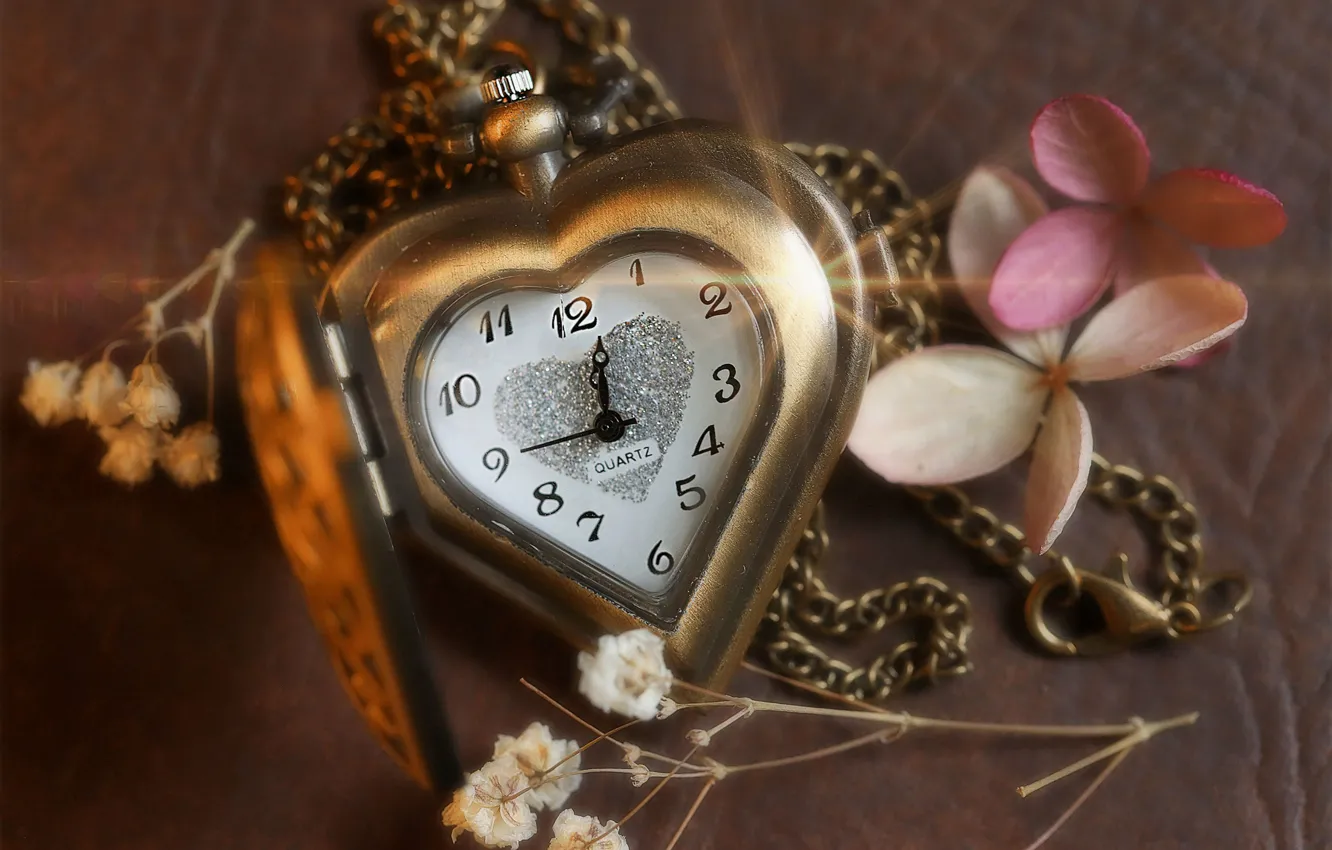 Фото обои макро, стиль, сердце, часы, циферблат, цепочка, гипсофила, цветки гортензии