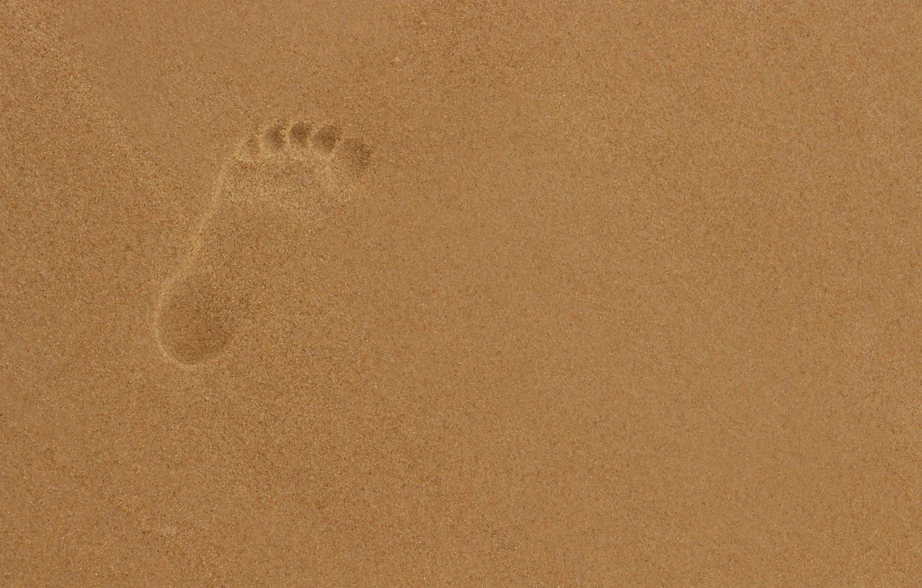 Фото обои песок, след, отпечаток