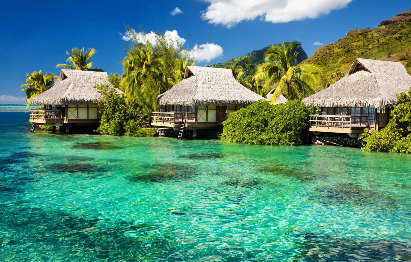 Фото обои море, пляж, природа, бунгало