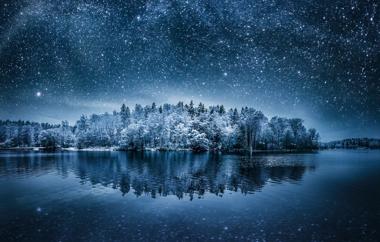 Фото обои небо, деревья, ночь, отражение, звёзды, Winterland