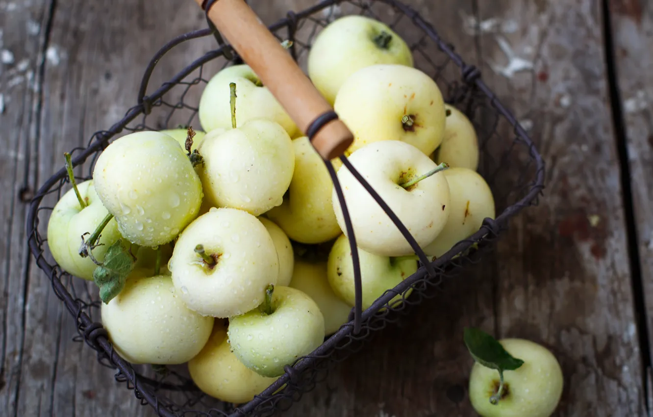 Фото обои осень, корзина, яблоки, урожай, фрукты, Julia Khusainova