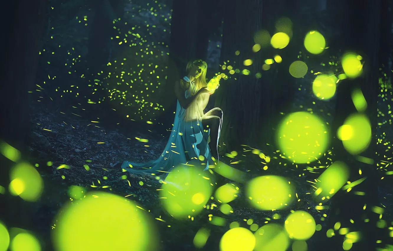Фото обои лес, девушка, girl, forest, светляки, fireflies, Paolo Lazzarotti