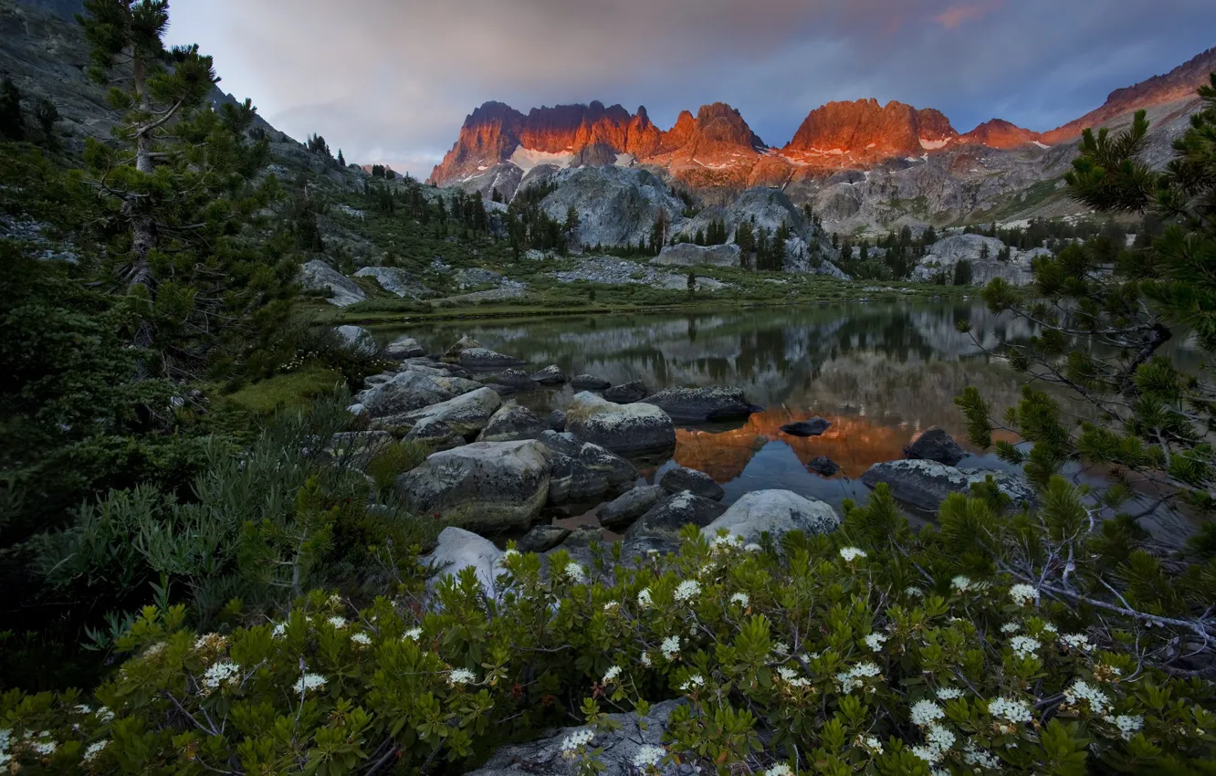 Фото обои цветы, горы, камни, берег