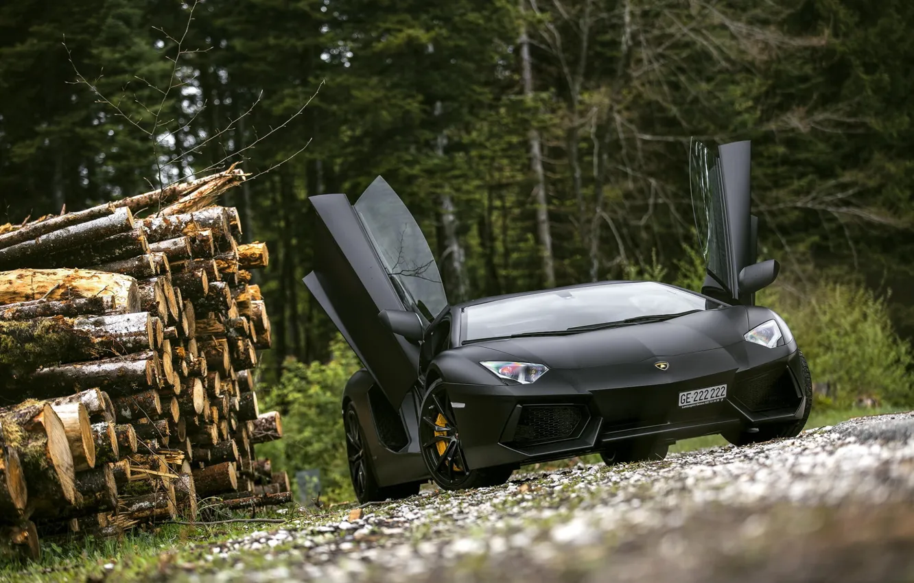 Фото обои Lamborghini, Black, LP700-4, Aventador, Supercar, Forest, Trees
