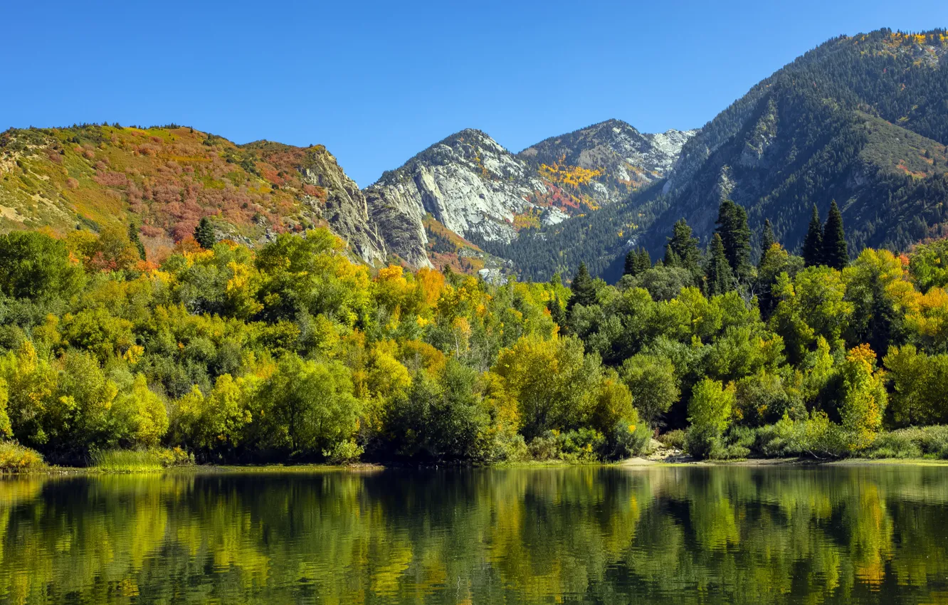 Фото обои nature, Mountain, Summer, utah, Lake, Salt lake city
