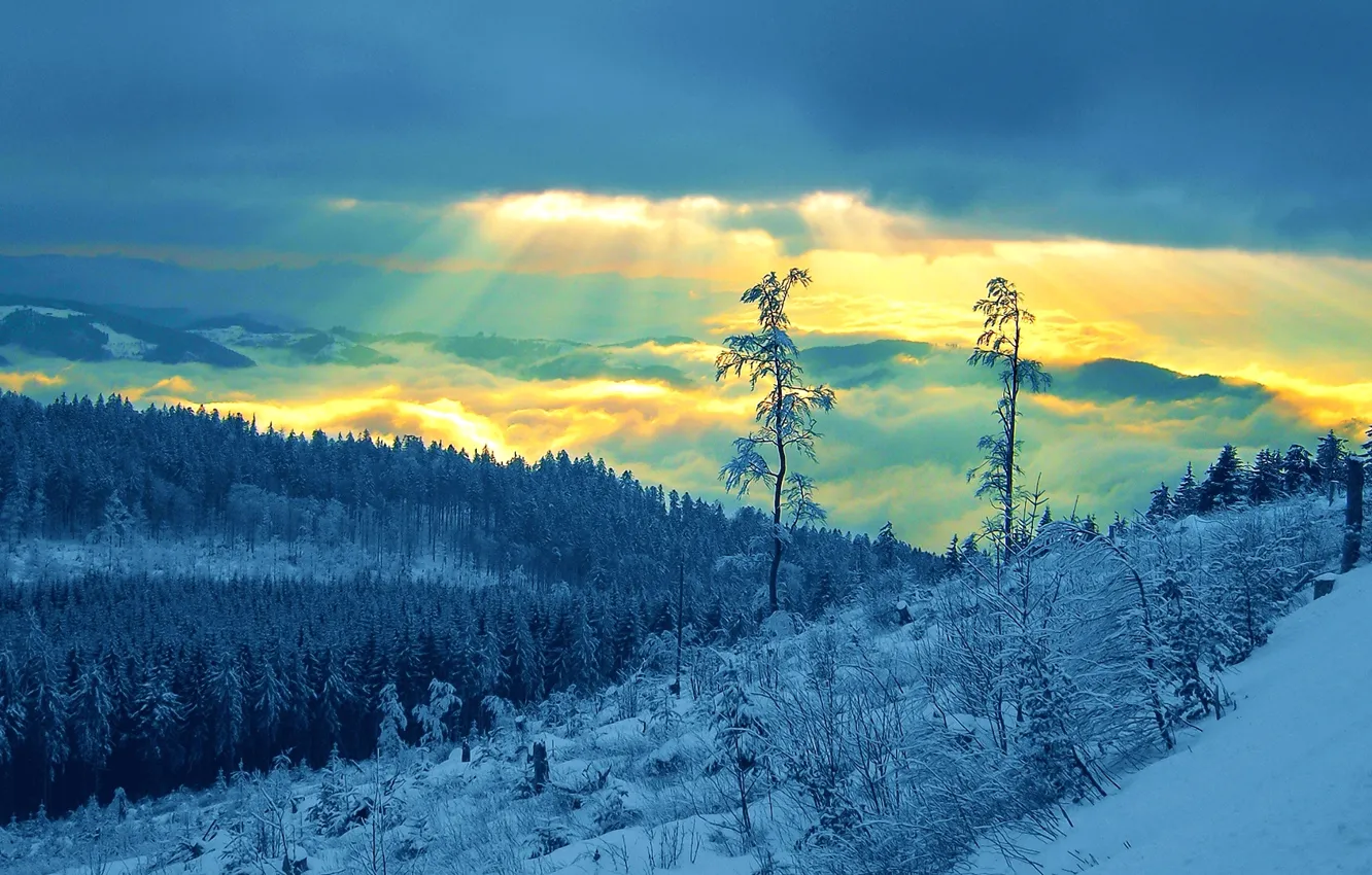 Фото обои зима, небо, облака, лучи, снег, деревья, горы