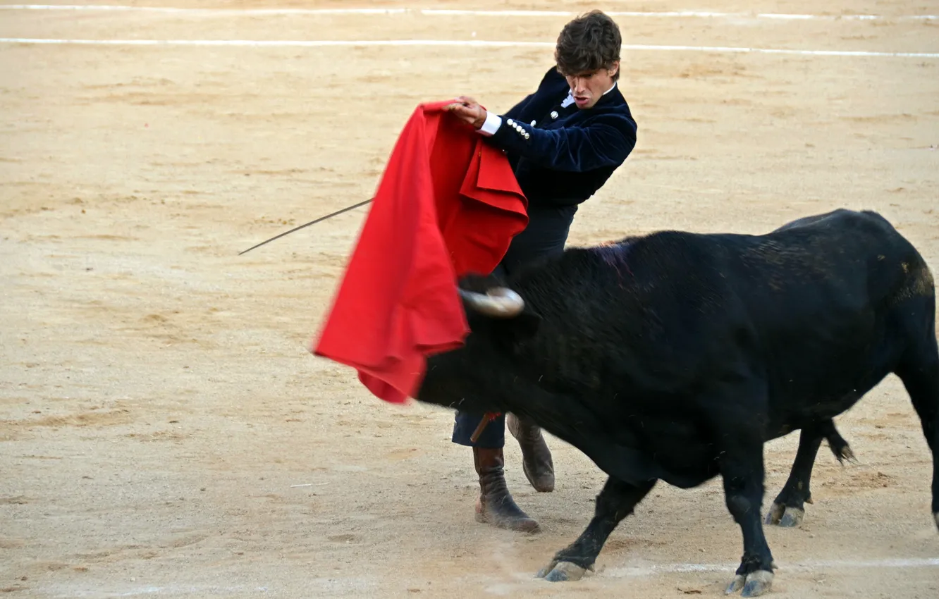 Фото обои fiesta, Spain, bull, festival, toros