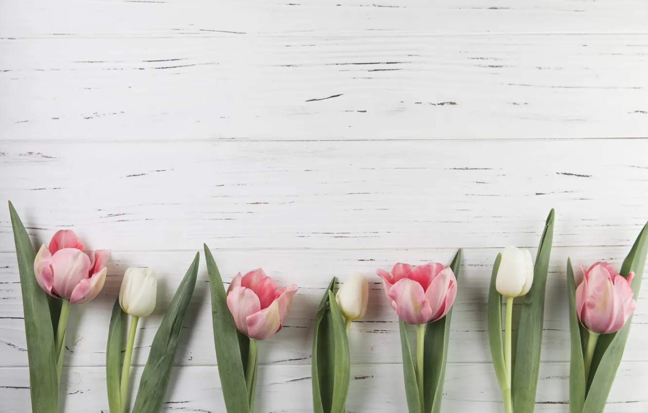 Фото обои цветы, тюльпаны, розовые, wood, pink, flowers, beautiful, tulips