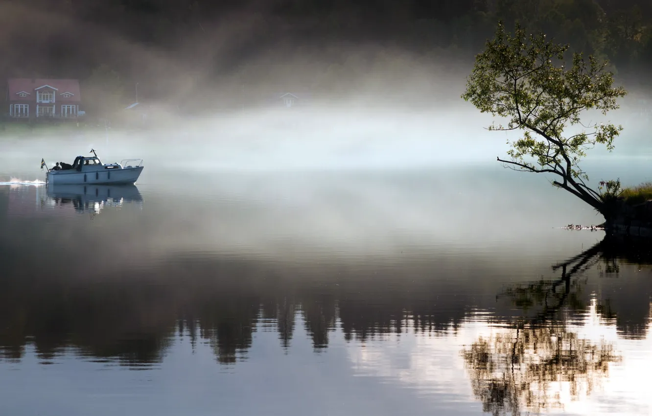 Фото обои пейзаж, туман, озеро, дерево, лодка, утро