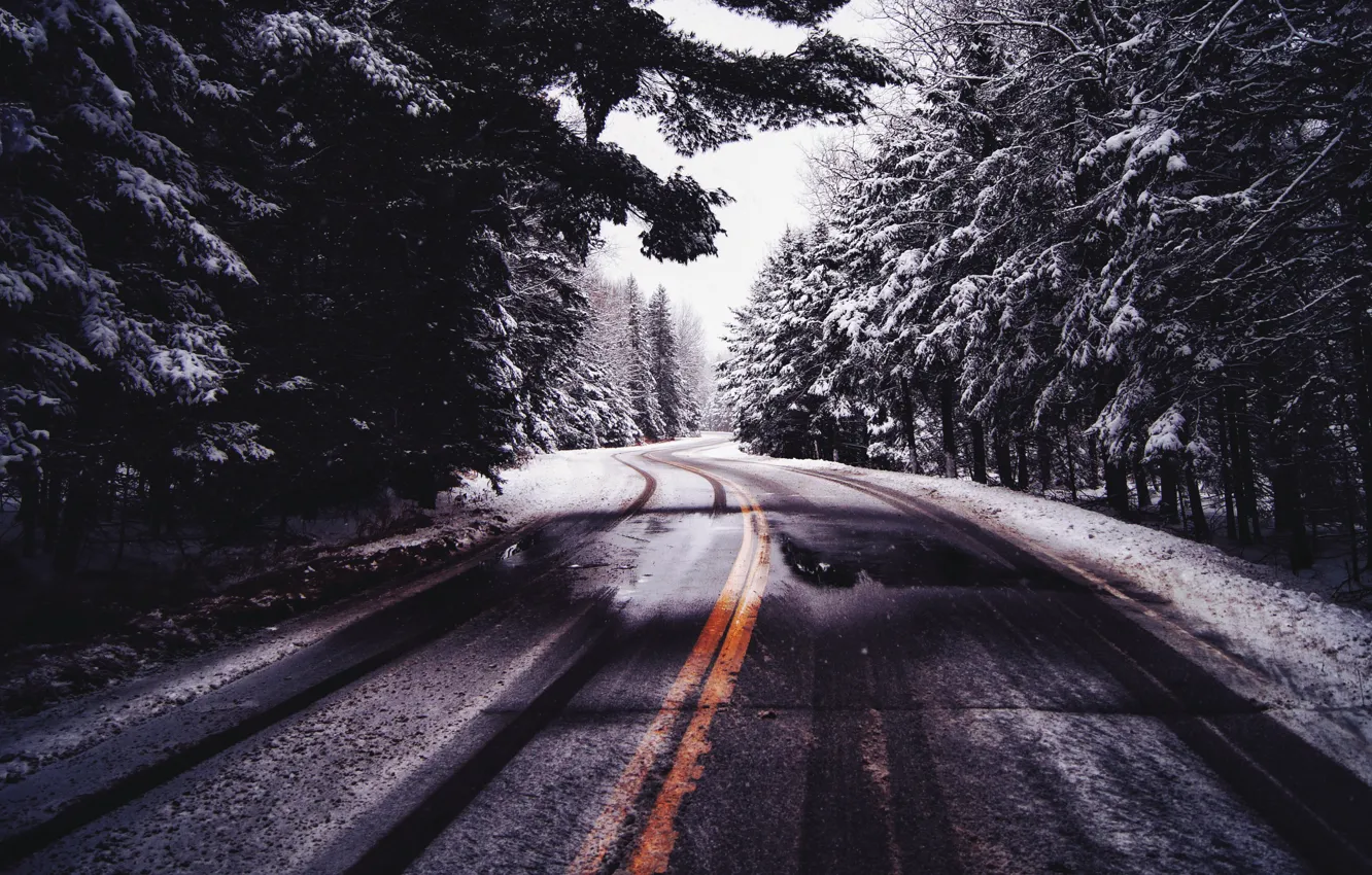 Фото обои холод, зима, дорога, лес, природа
