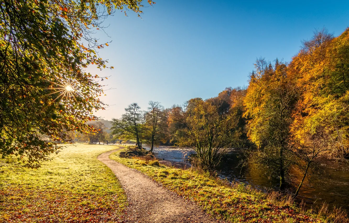 Фото обои осень, солнце, лучи, деревья, река, Англия, Yorkshire