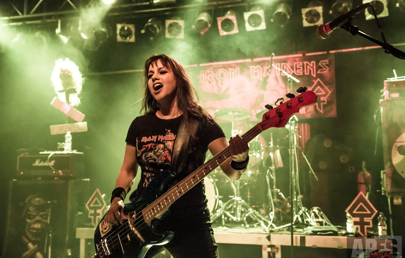 Фото обои Концерт, Группа, Бас, The Iron Maidens