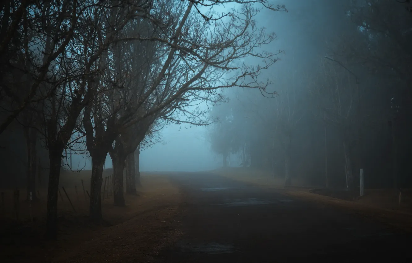Фото обои дорога, ночь, туман