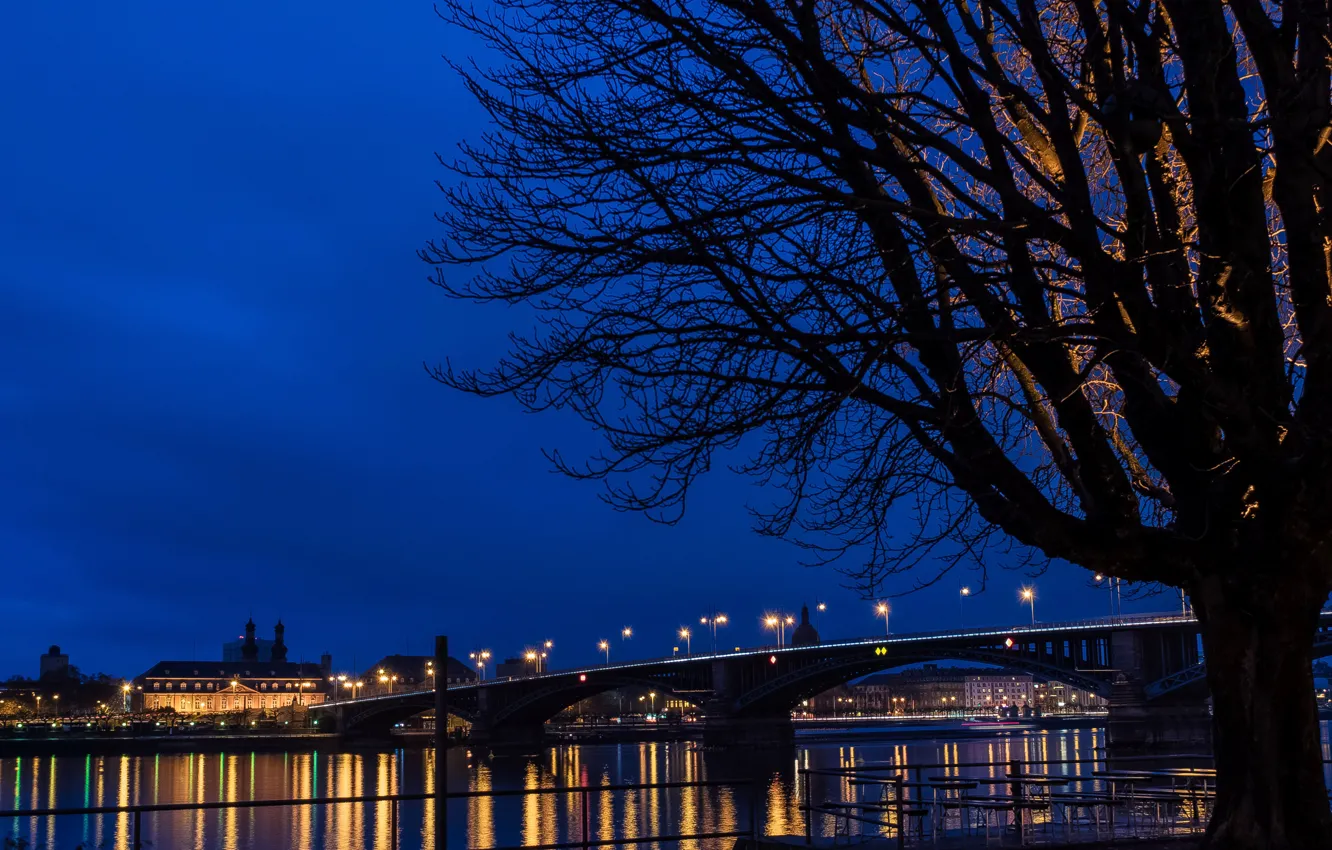 Фото обои ночь, мост, огни, река, Германия, Mainz