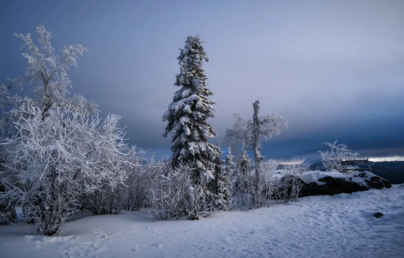 Фото обои зима, снег, национальный парк, Таганай, Чёрная скала