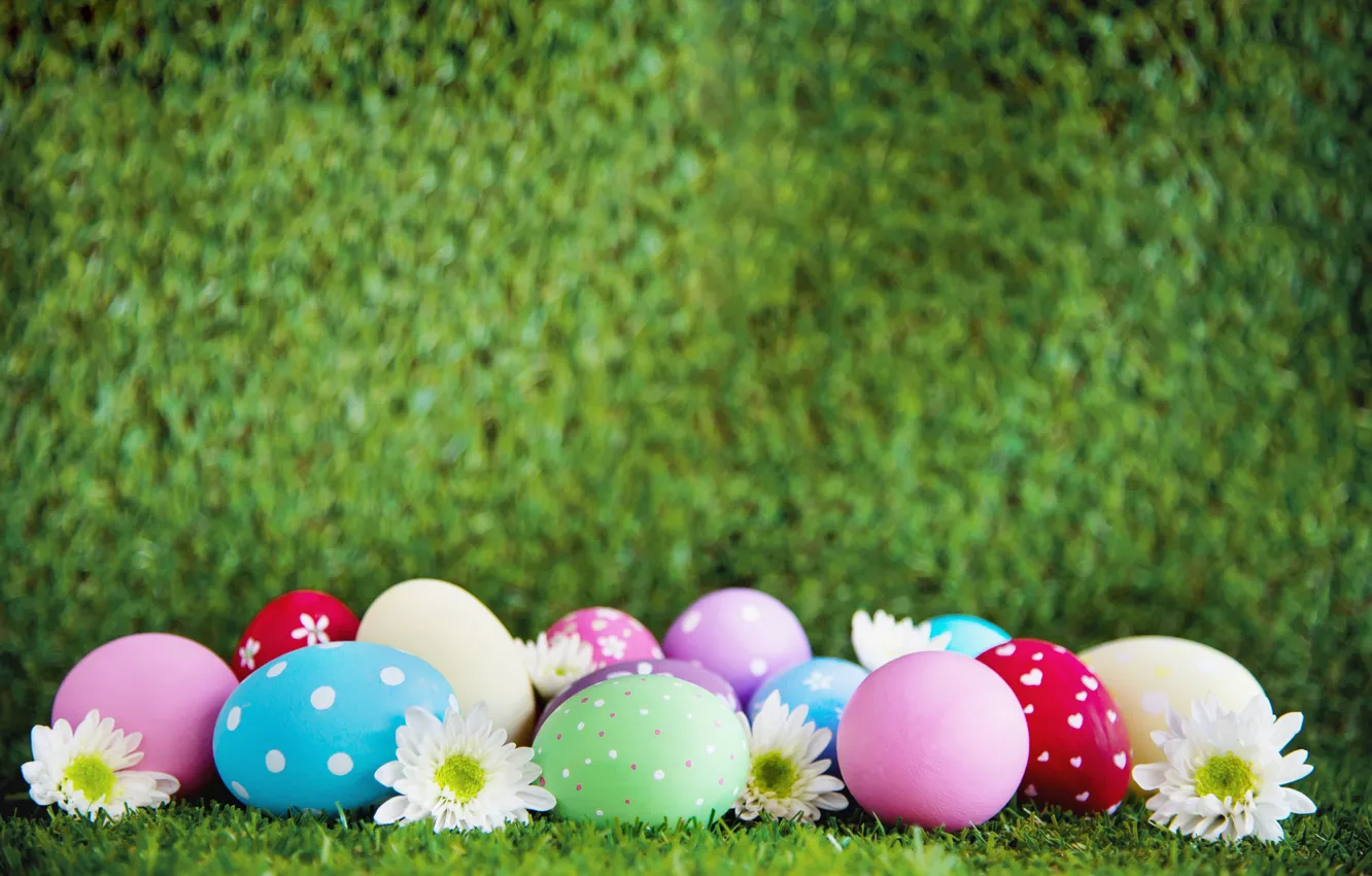 Фото обои цветы, праздник, яйца, Пасха, травка