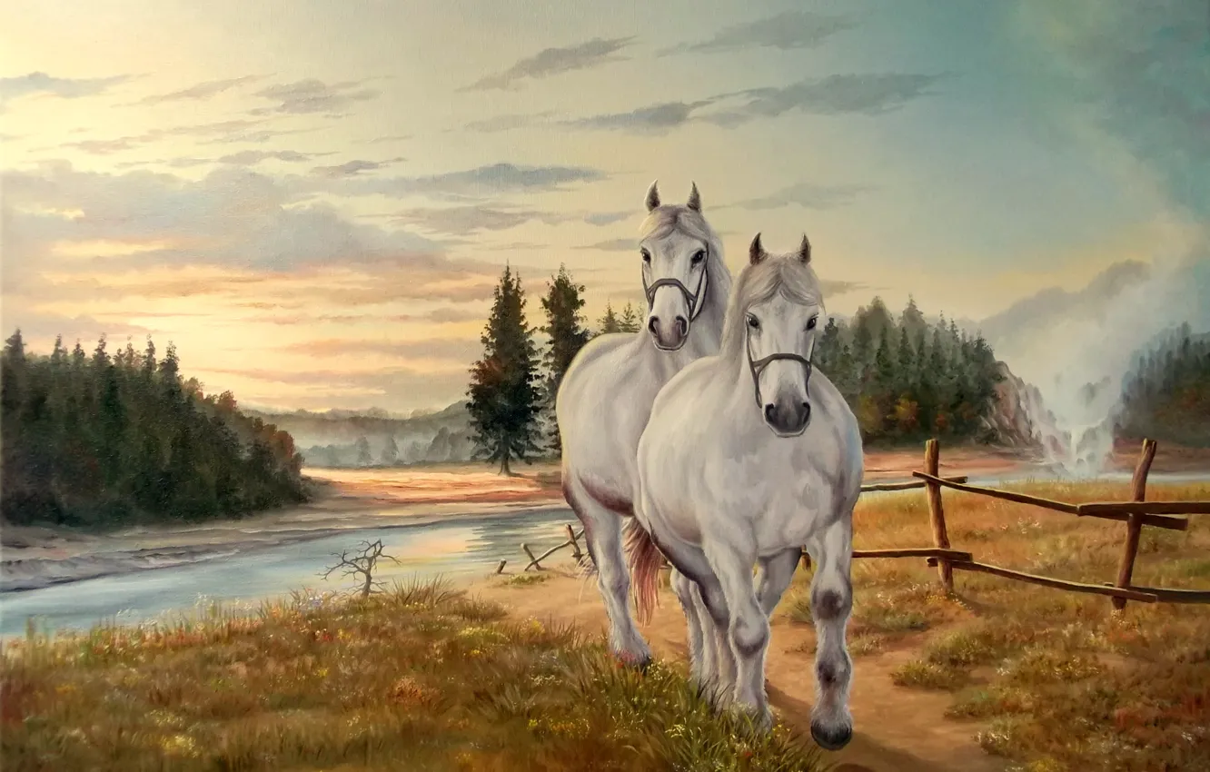 Фото обои небо, трава, облака, природа, река, лошади, грива, белые