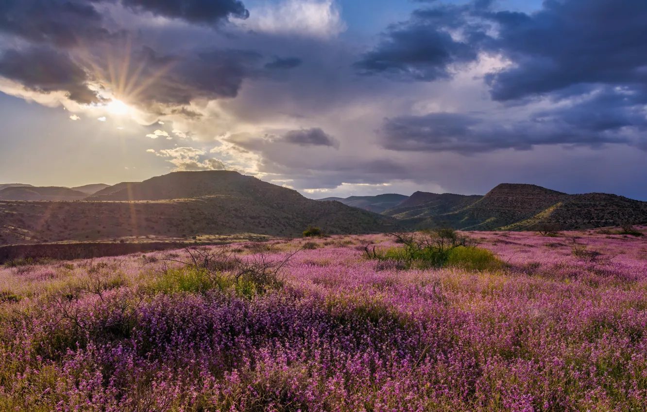 Фото обои солнце, горы, долина, Аризона, США, Clarkdale