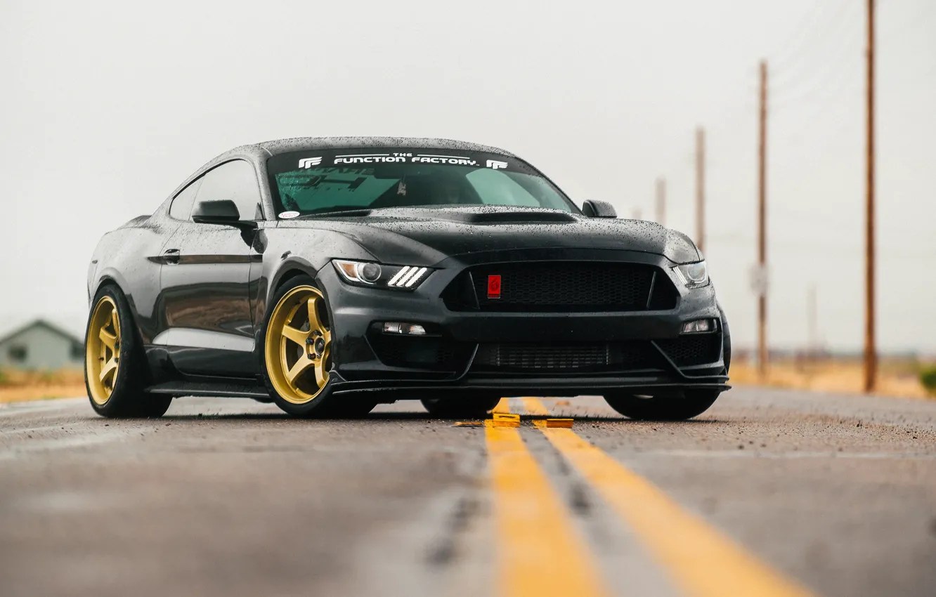 Фото обои Mustang, Ford, Ford Mustang, tuning