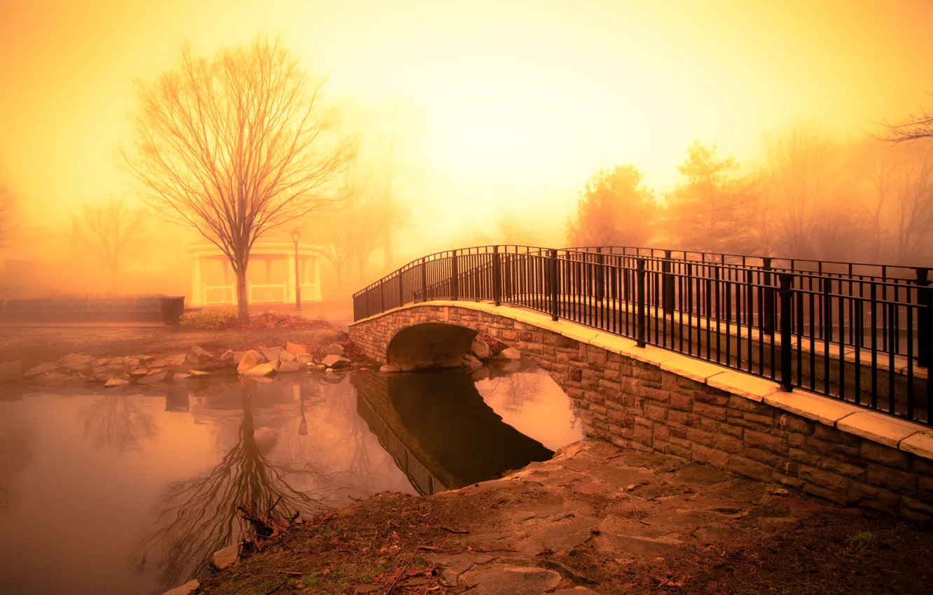 Фото обои light, river, fog, pond, golden morning, footbridge