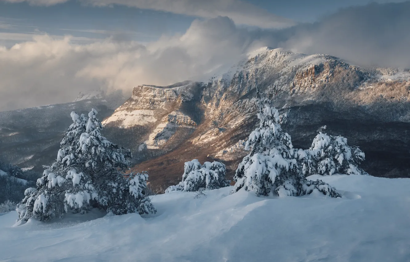 Фото обои зима, облака, снег, деревья, пейзаж, горы, природа, долина
