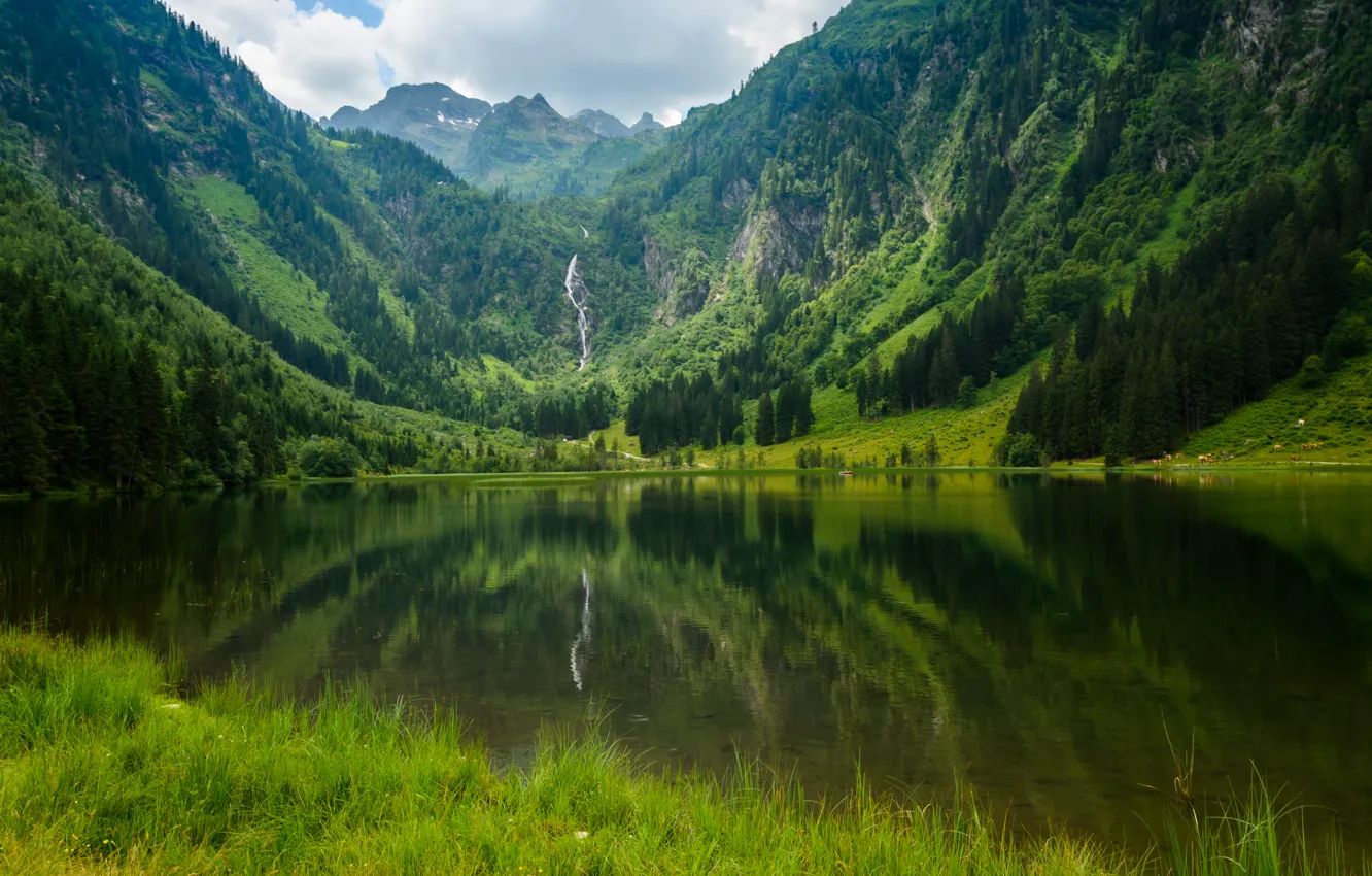 Фото обои зелень, отражения, озеро, green, Горы, nature, mountains, lake