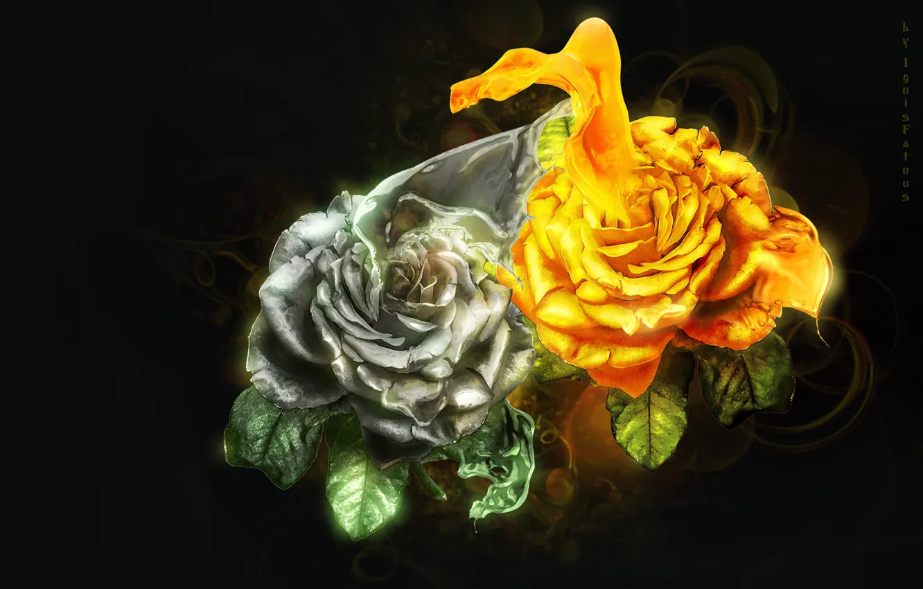 Фото обои розы, всплеск, silver, gold, art, splash, roses, фотоарт