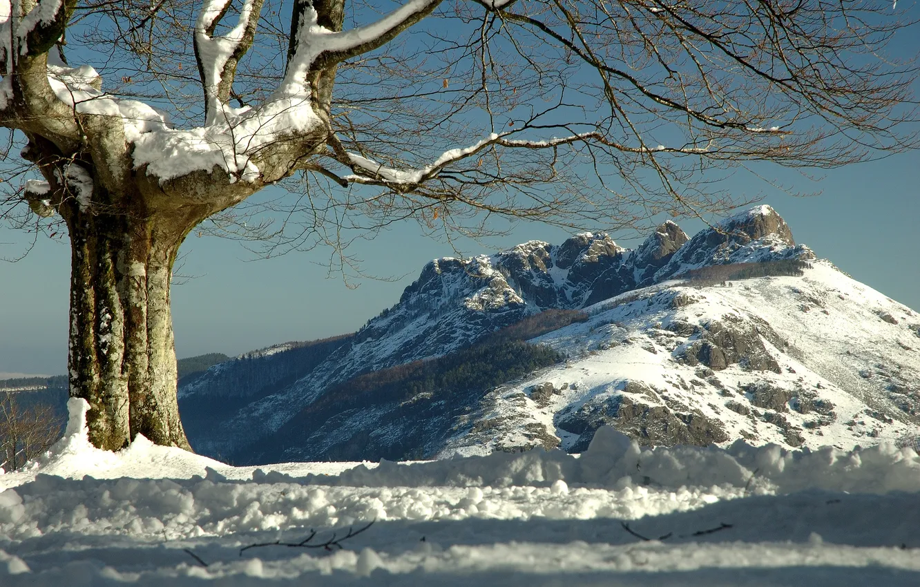 Фото обои зима, снег, горы, дерево, Испания, Spain, Basque Country, Peñas de Aya
