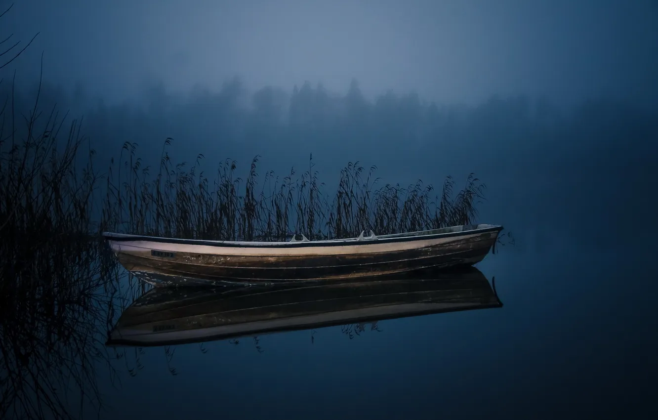 Фото обои ночь, озеро, лодка