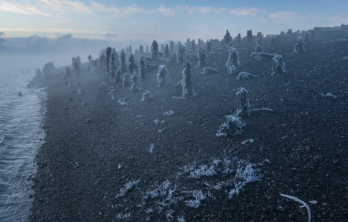 Фото обои зима, туман, берег