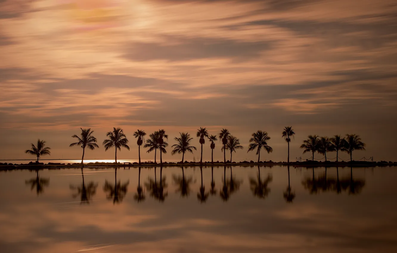 Фото обои закат, отражение, пальмы, океан, Майами, Флорида, Miami, Florida