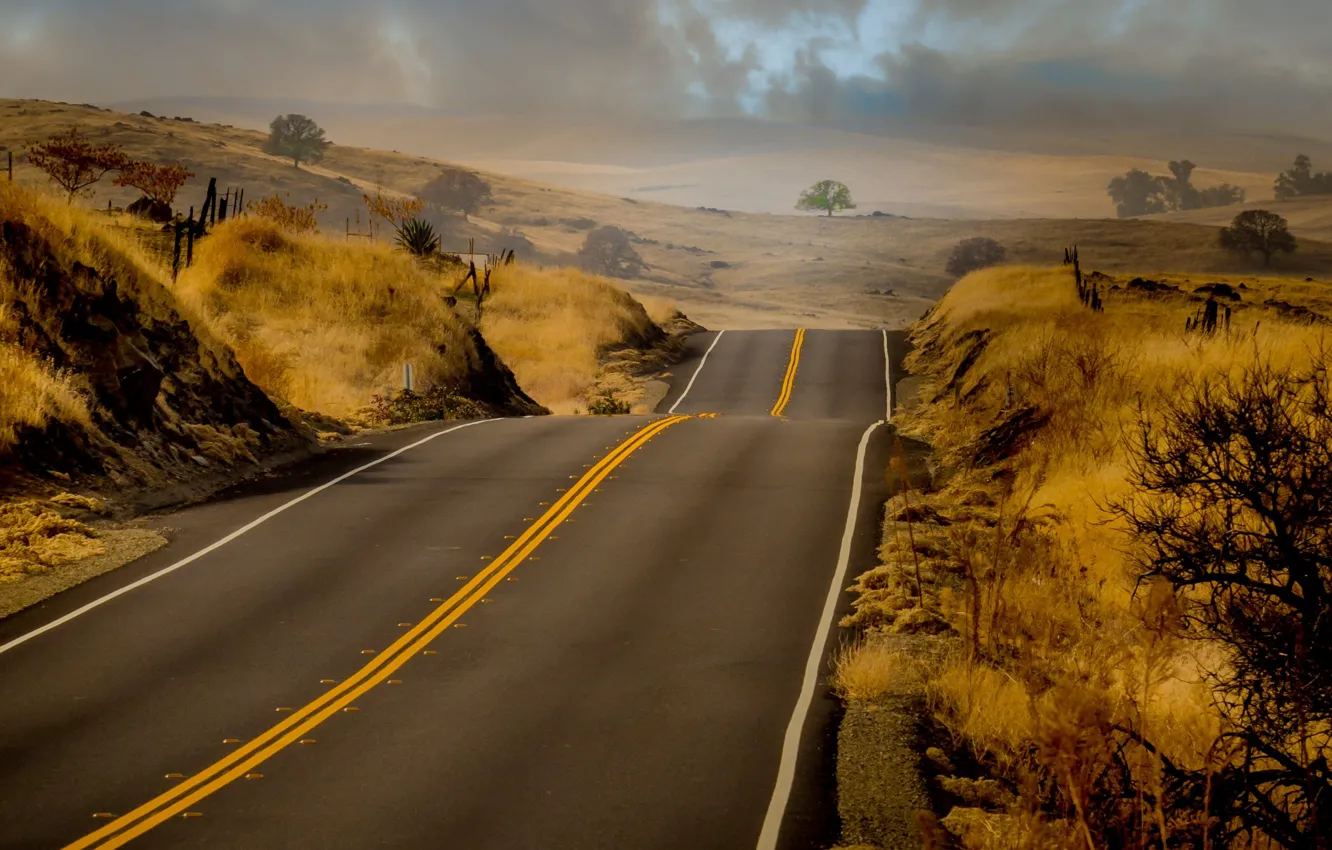 Фото обои Nature, Grass, Road, Hills, Markup