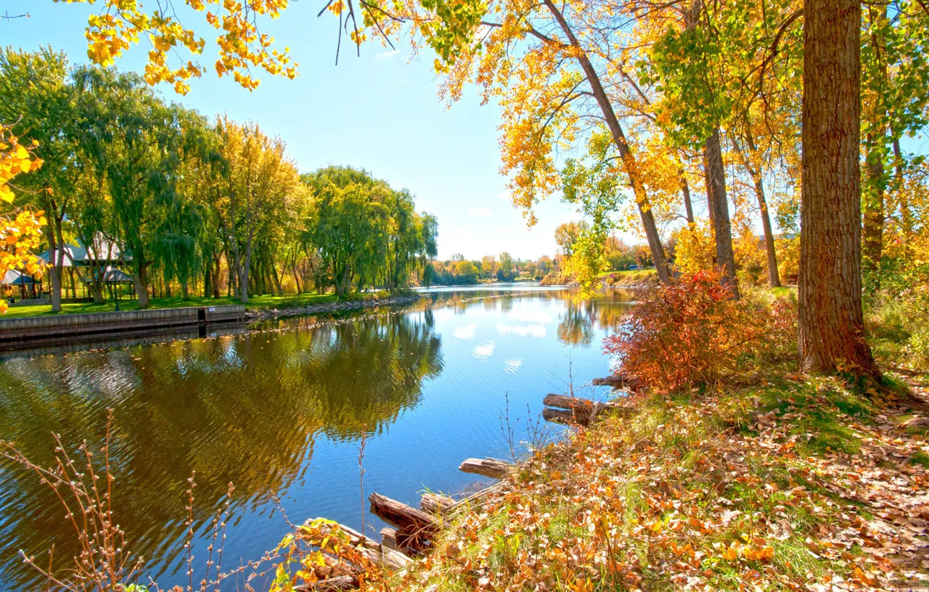 Фото обои осень, деревья, река, листва