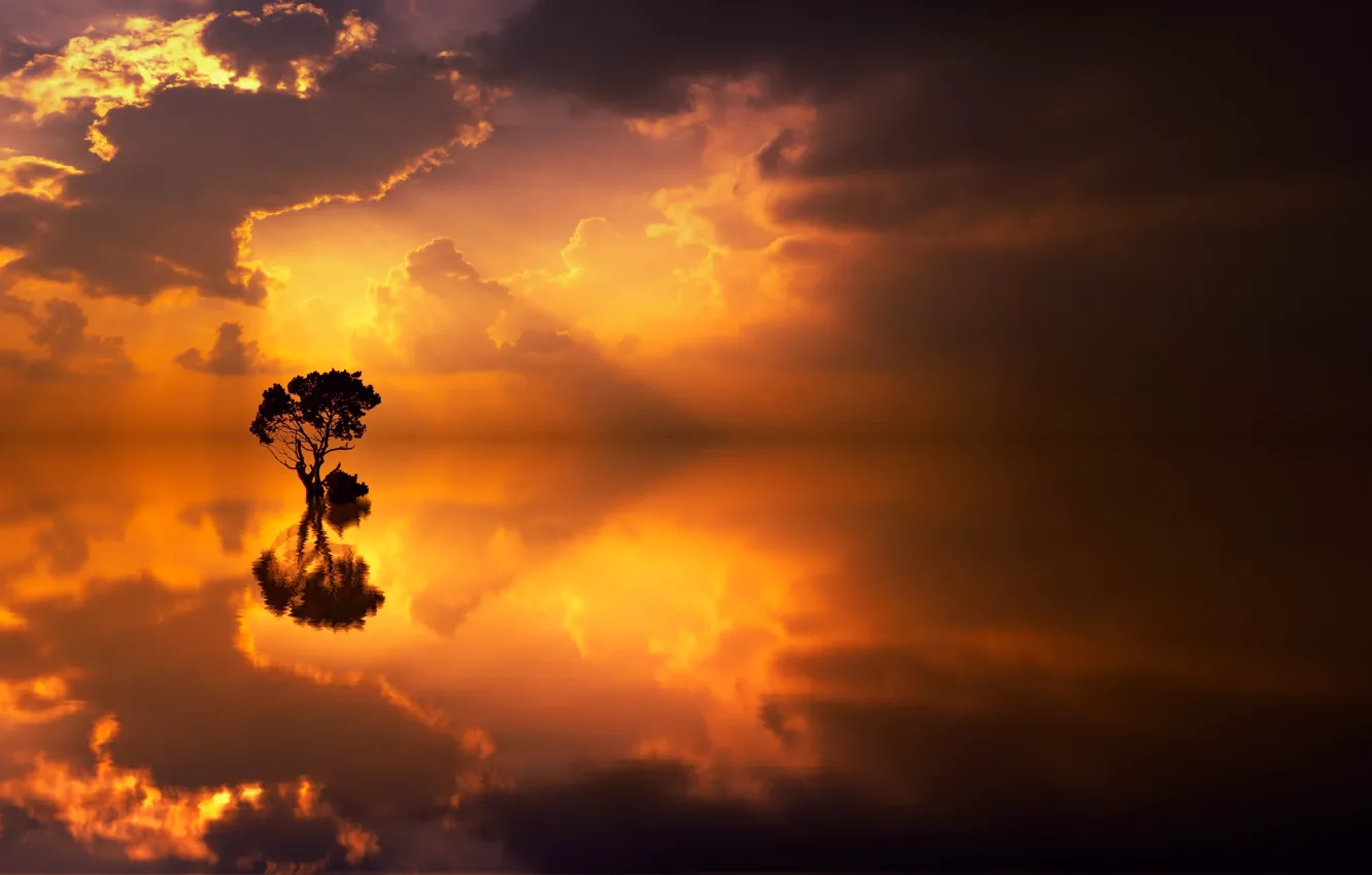 Фото обои облака, озеро, отражение, дерево