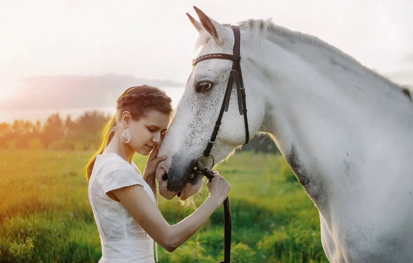 Фото обои лето, девушка, природа, конь