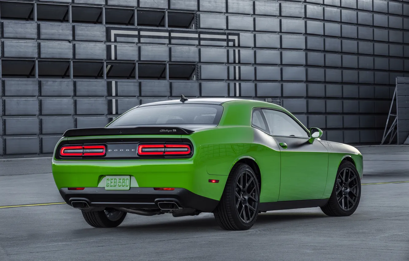 Фото обои зеленый, Dodge, Challenger, автомобиль, додж, вид сзади, T/A