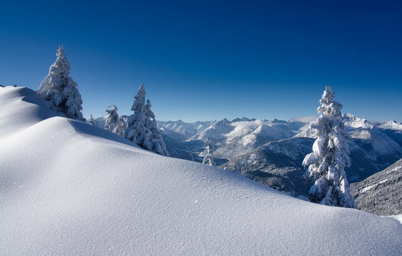 Фото обои зима, снег, горы, Австрия, ели, долина, Альпы, сугробы