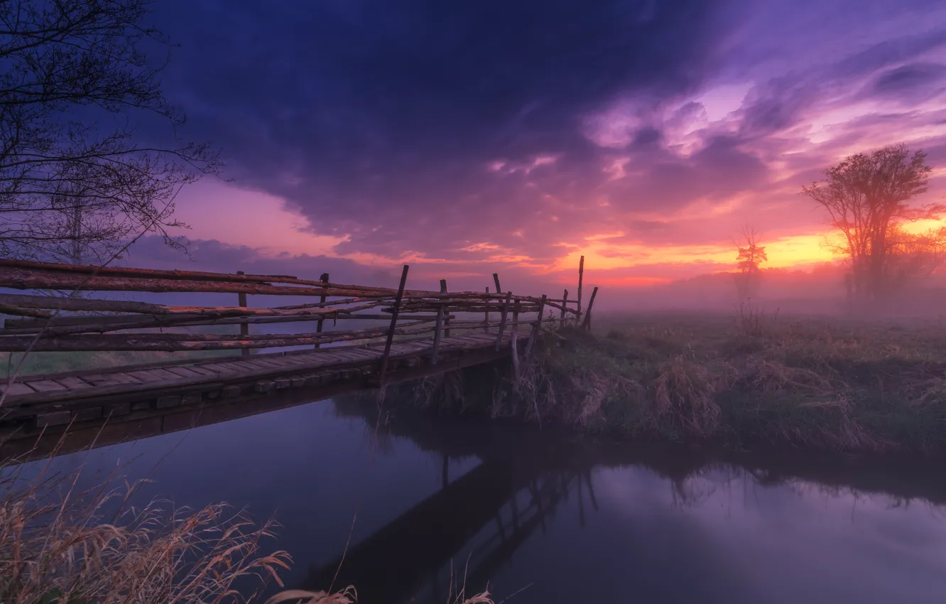 Фото обои осень, небо, трава, облака, деревья, закат, ветки, тучи