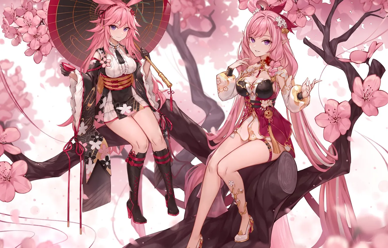 Фото обои gadis kawaii, ya sakura, honkai