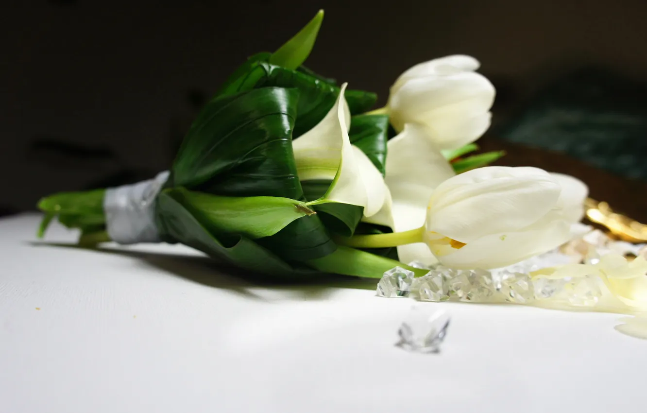 Фото обои цветы, букет, тюльпаны, белые, каллы