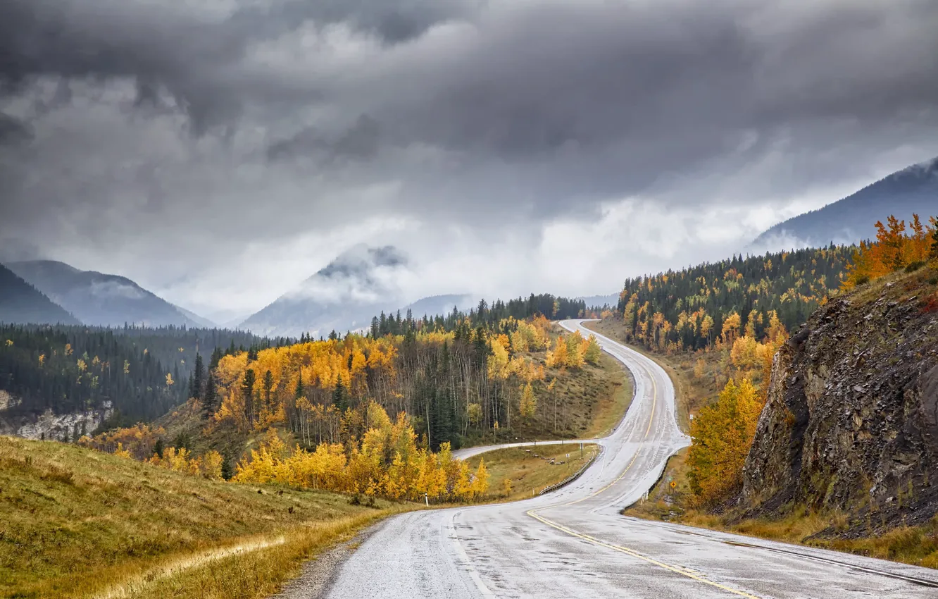 Фото обои дорога, осень, Canyon Creek valley