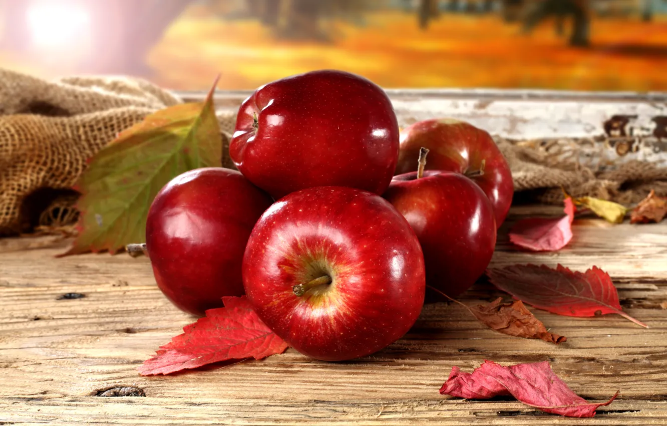 Фото обои осень, листья, красные яблоки
