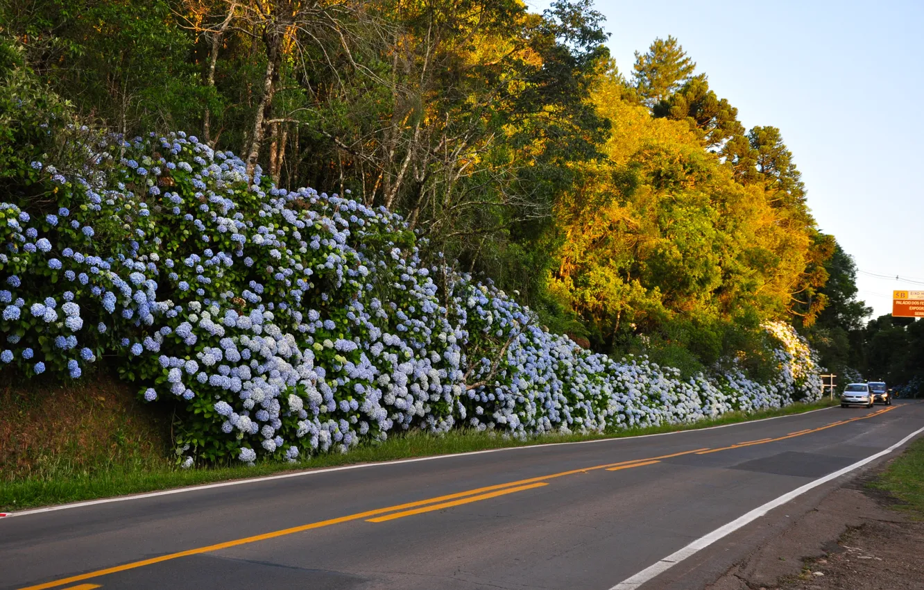 Фото обои nature, landscapes, Brazil, South American, Rio Grande Do Sul