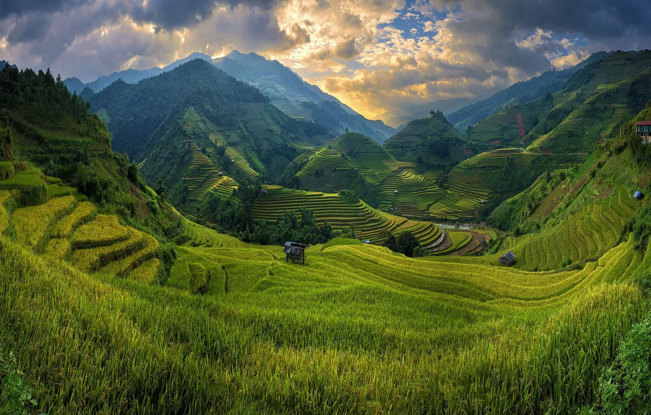 Фото обои горы, поля, долина, Вьетнам