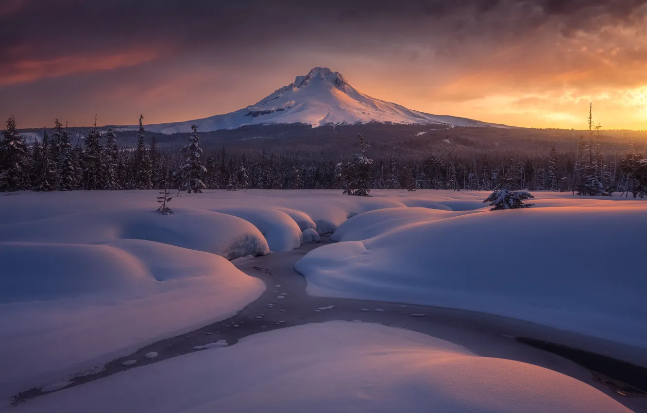 Фото обои зима, лес, снег, ручей, рассвет, гора, утро, Орегон