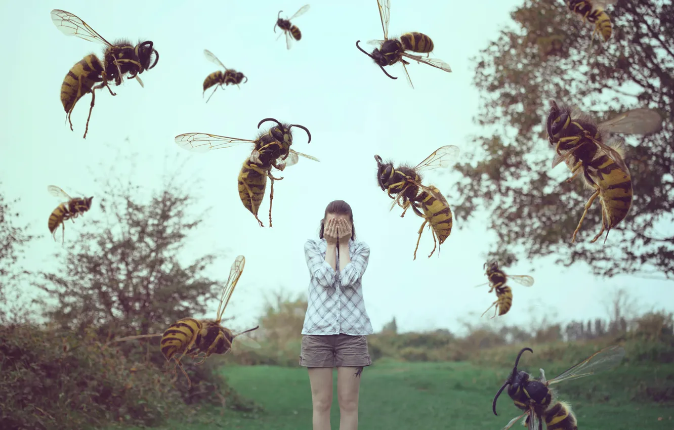 Фото обои девушка, насекомые, сон, осы, пчёлы