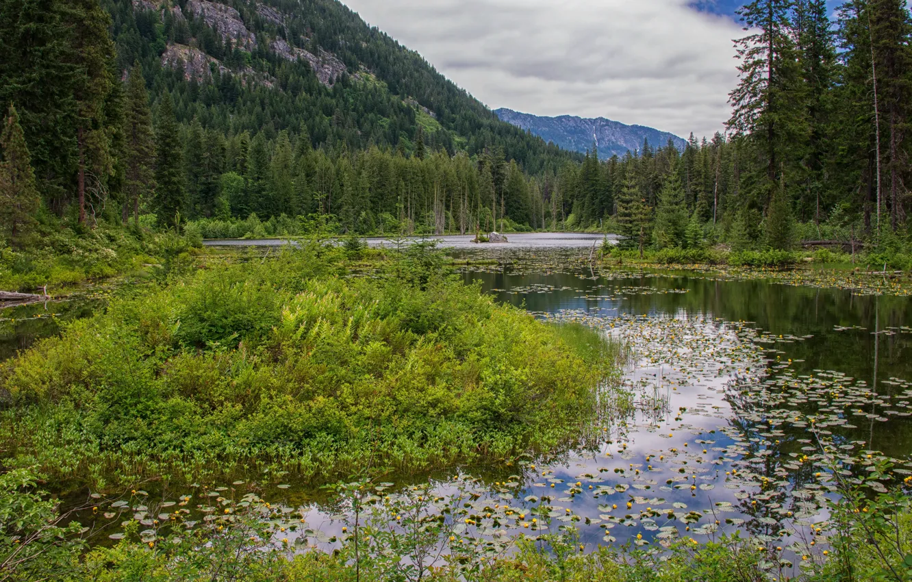 Фото обои зелень, лес, деревья, горы, озеро, США, North Cascades National Park, Howard Lake