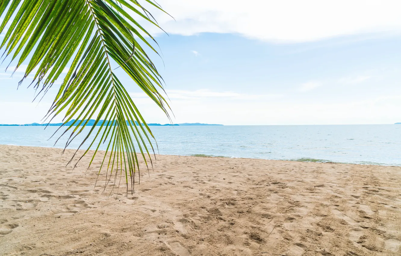 Фото обои песок, море, пляж, пальма, Тропики
